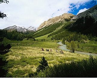 Bungie奉劝纯PvE玩家慎入 坦言称不想把《马拉松》做成《命运3》