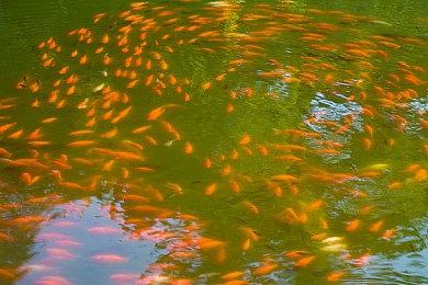 全面调整 《消逝的光芒：地狱突袭》将获最终更新